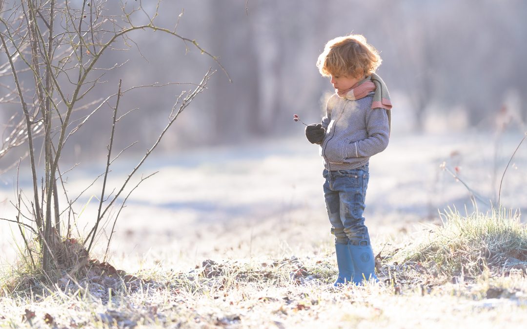 Les llums d’hivern