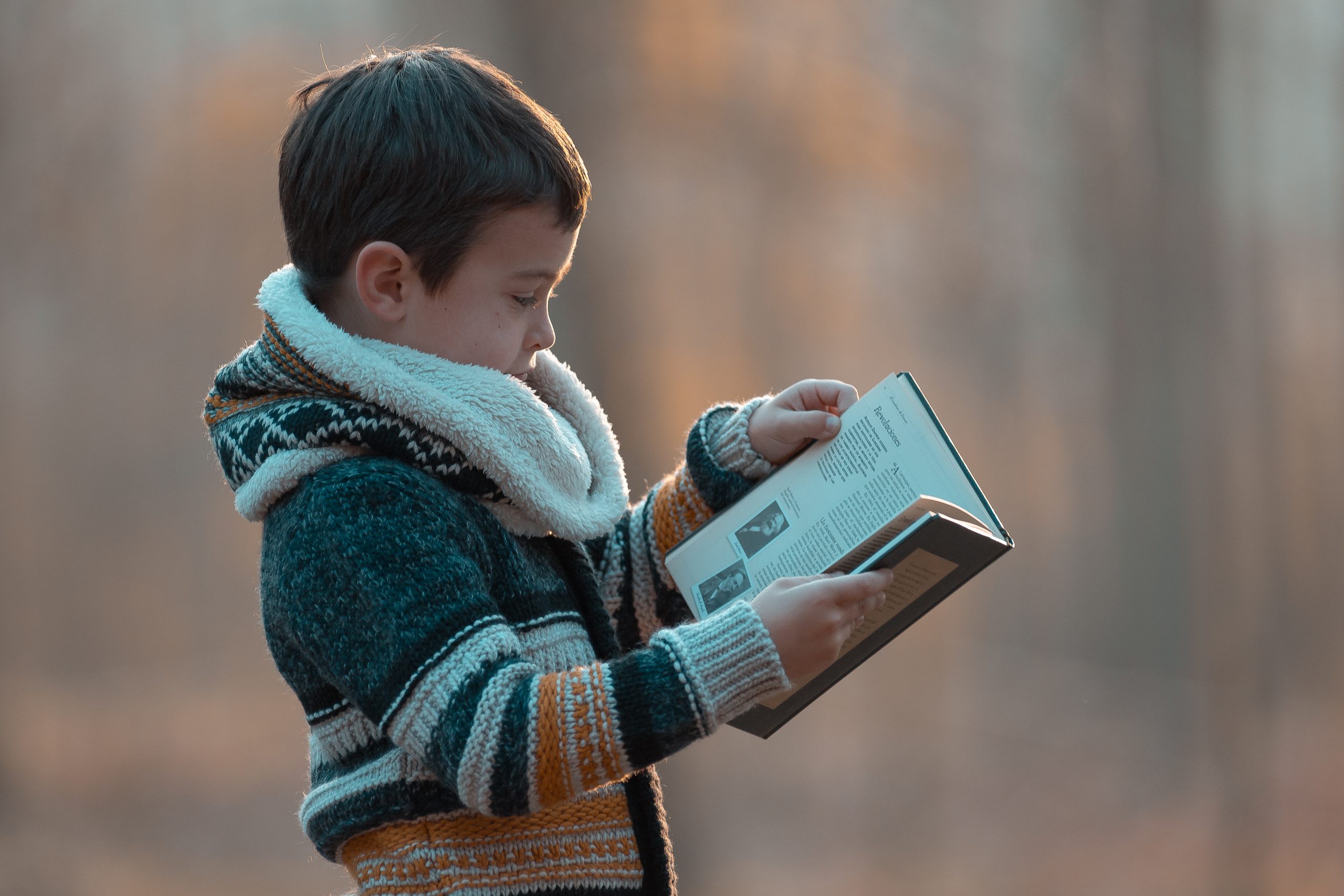 BIEL-I-ELIA39-scaled