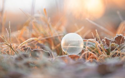 Les llums d’hivern